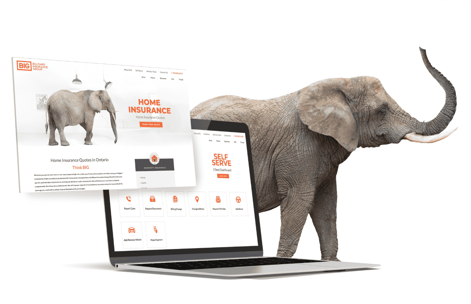 Website Sample for Billyard with elephant
