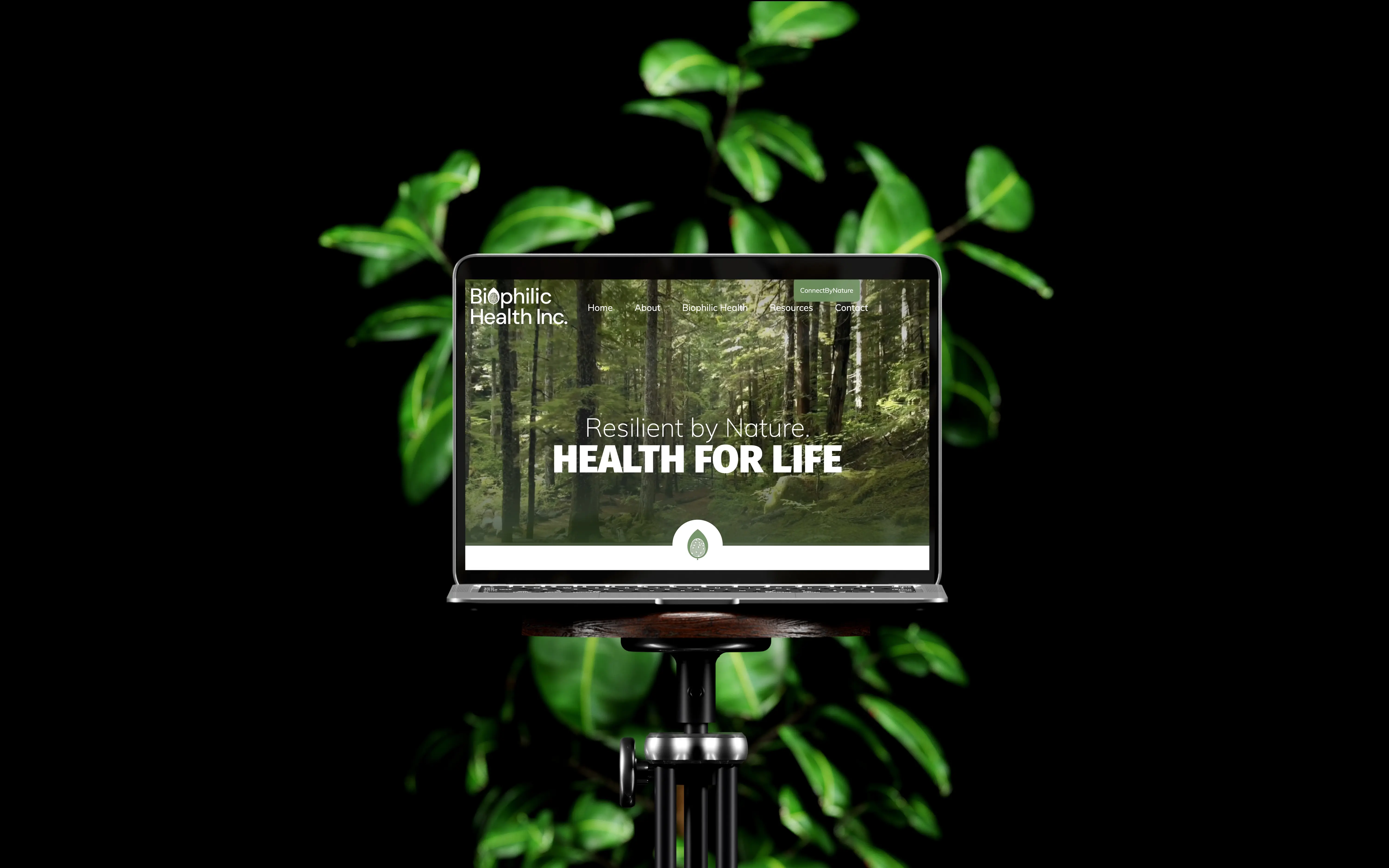 Biophilic Health Inc. Main Image